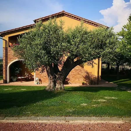 Farm stay Tenuta L'oliveta