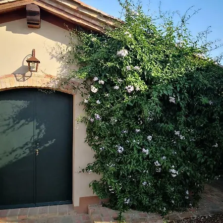 Farm stay Tenuta L'oliveta Crespina