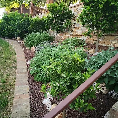 Farm stay Tenuta L'oliveta *